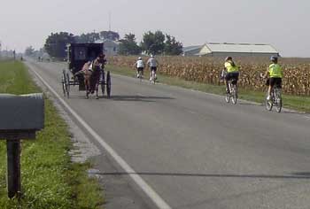 bikes and buggies